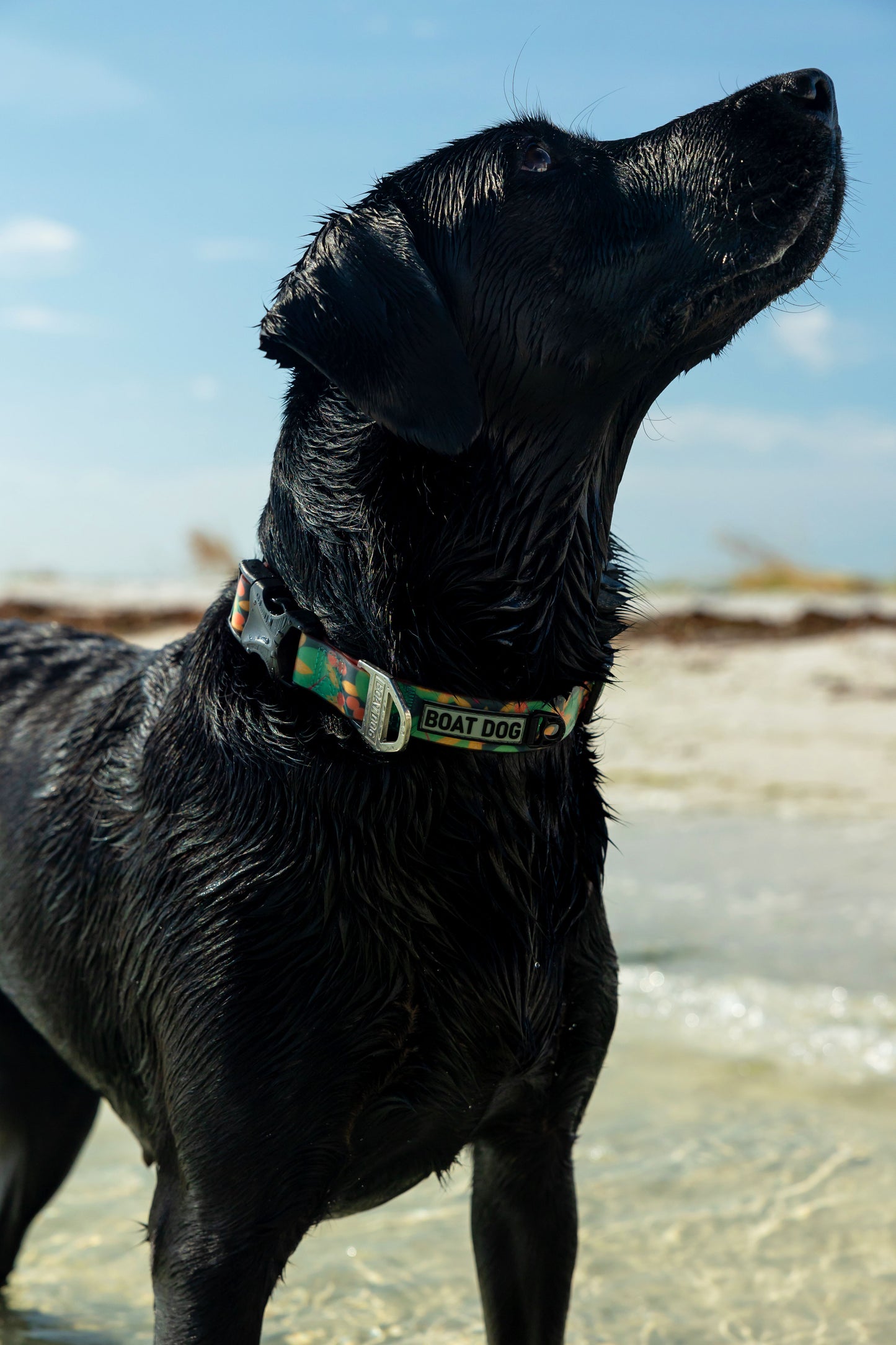 Seagrape Haven Gift Box