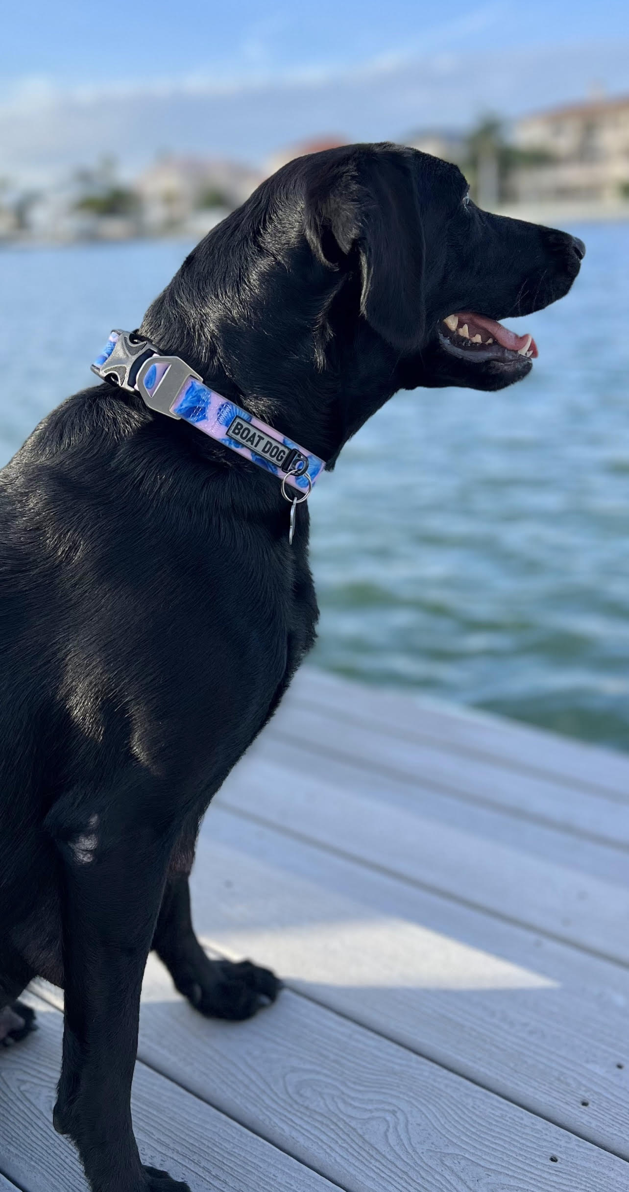 Shoreline Shells Gift Box