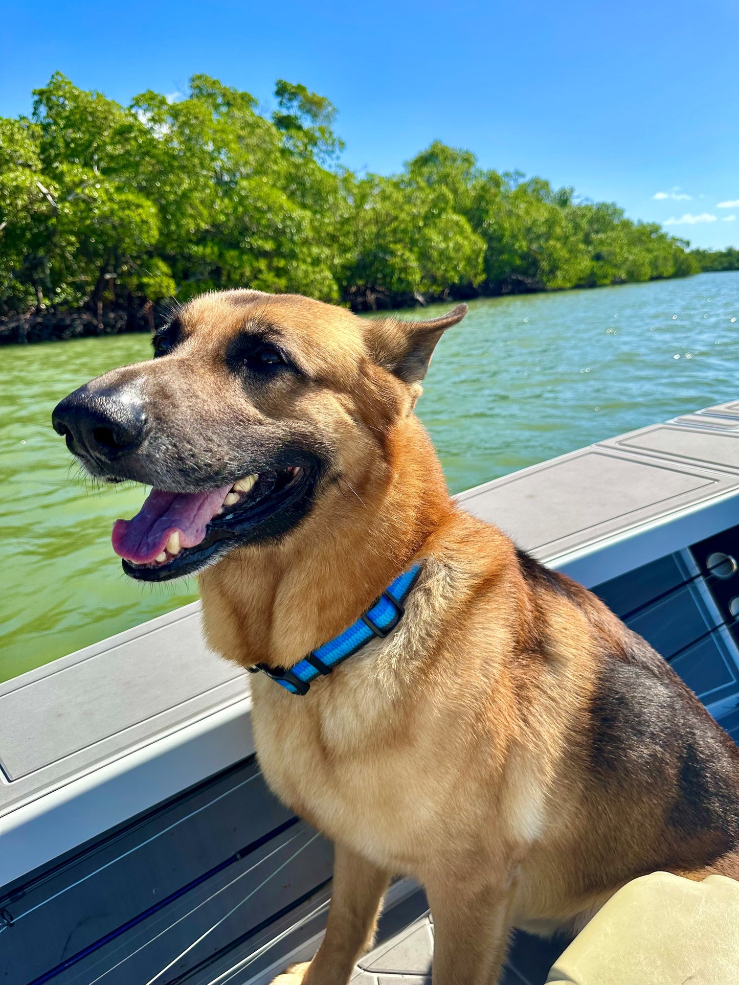 Tarpon King Gift Box