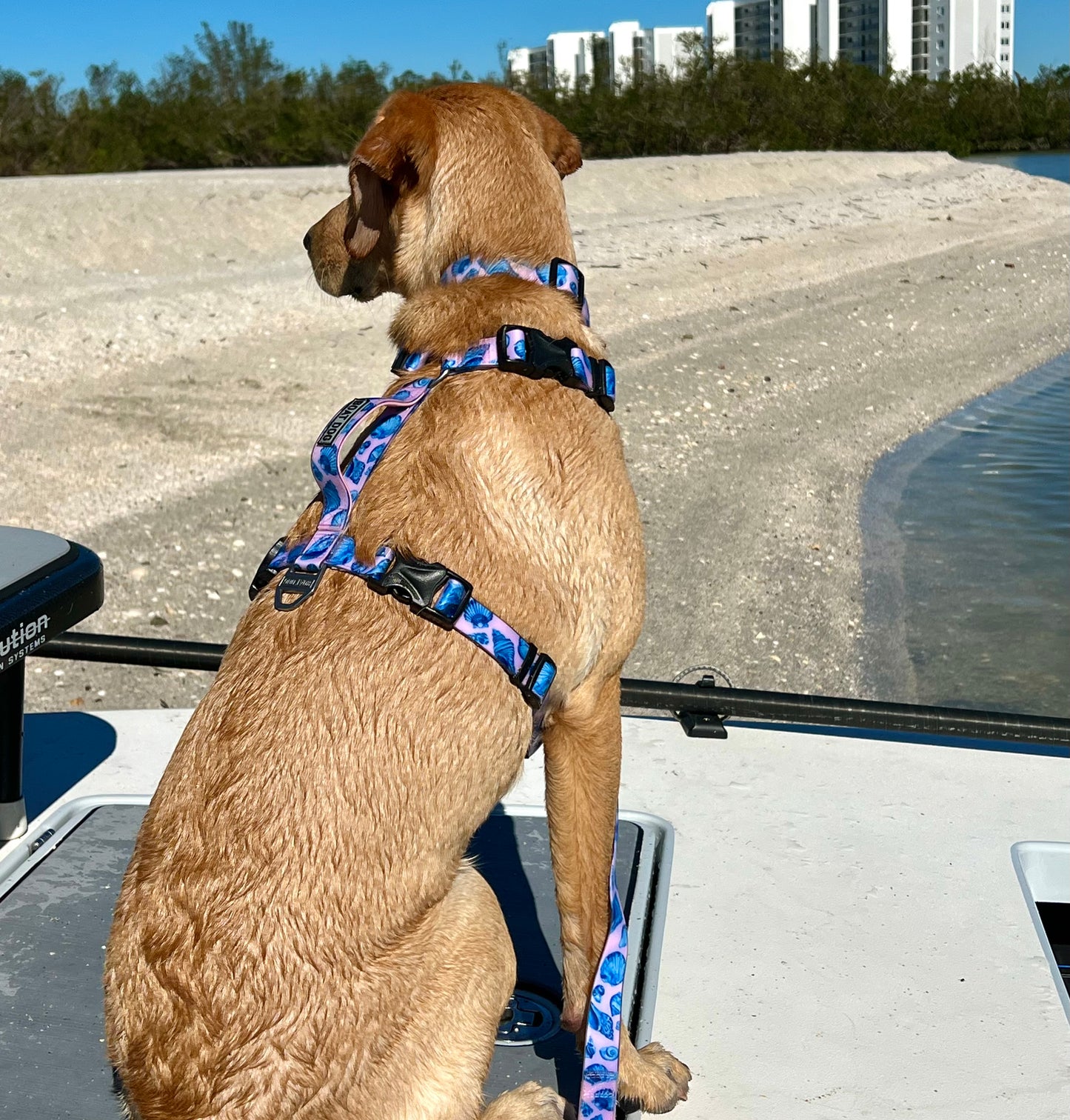 Water Camo