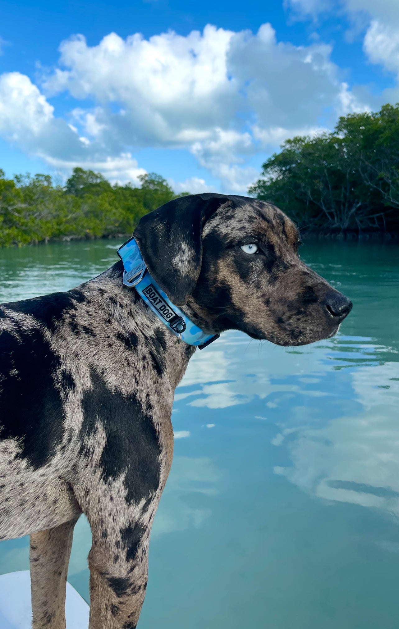 WATER CAMO