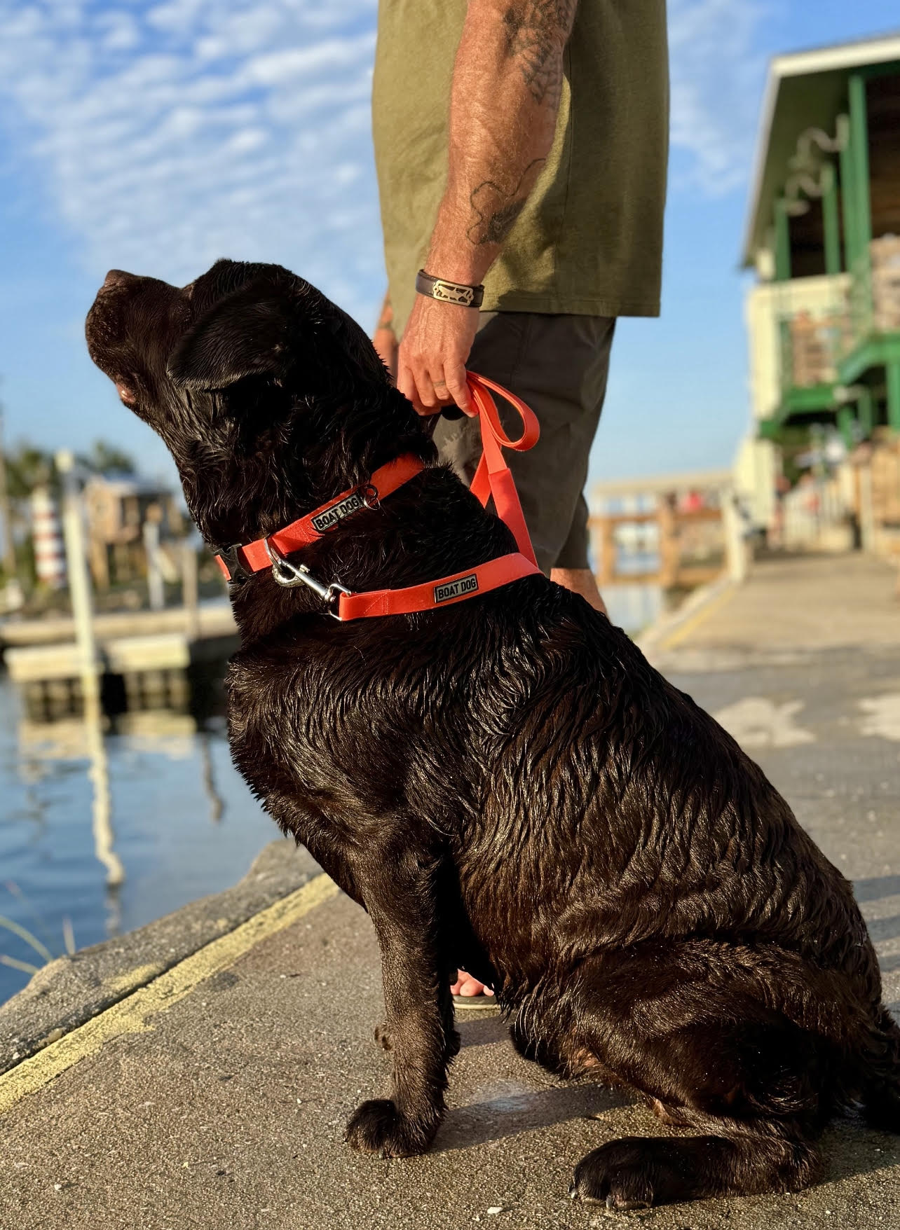 Orange Topography Gift Box