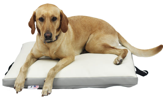 Marine Skiff Dog Bed - Gray