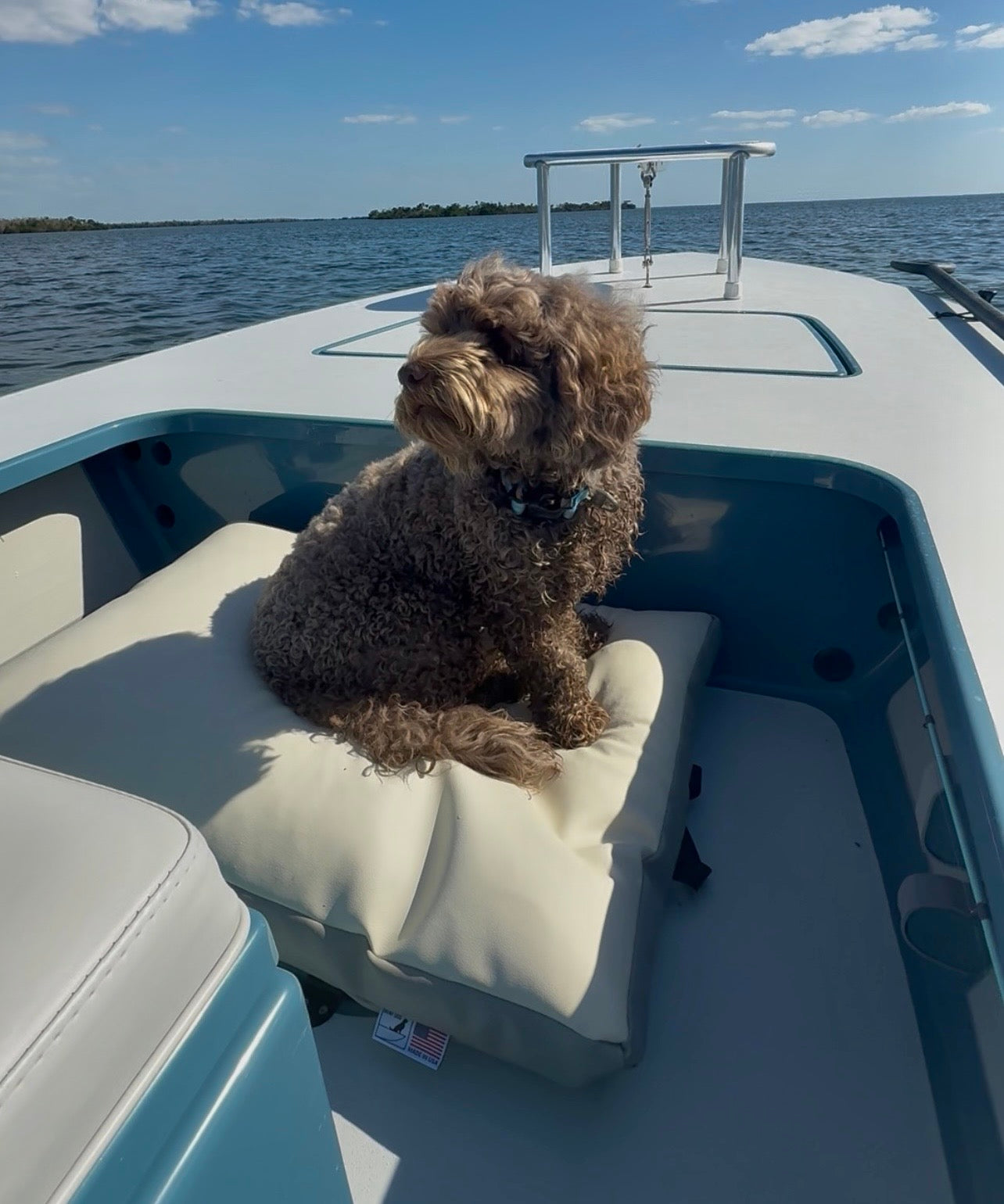 Marine Skiff Dog Bed