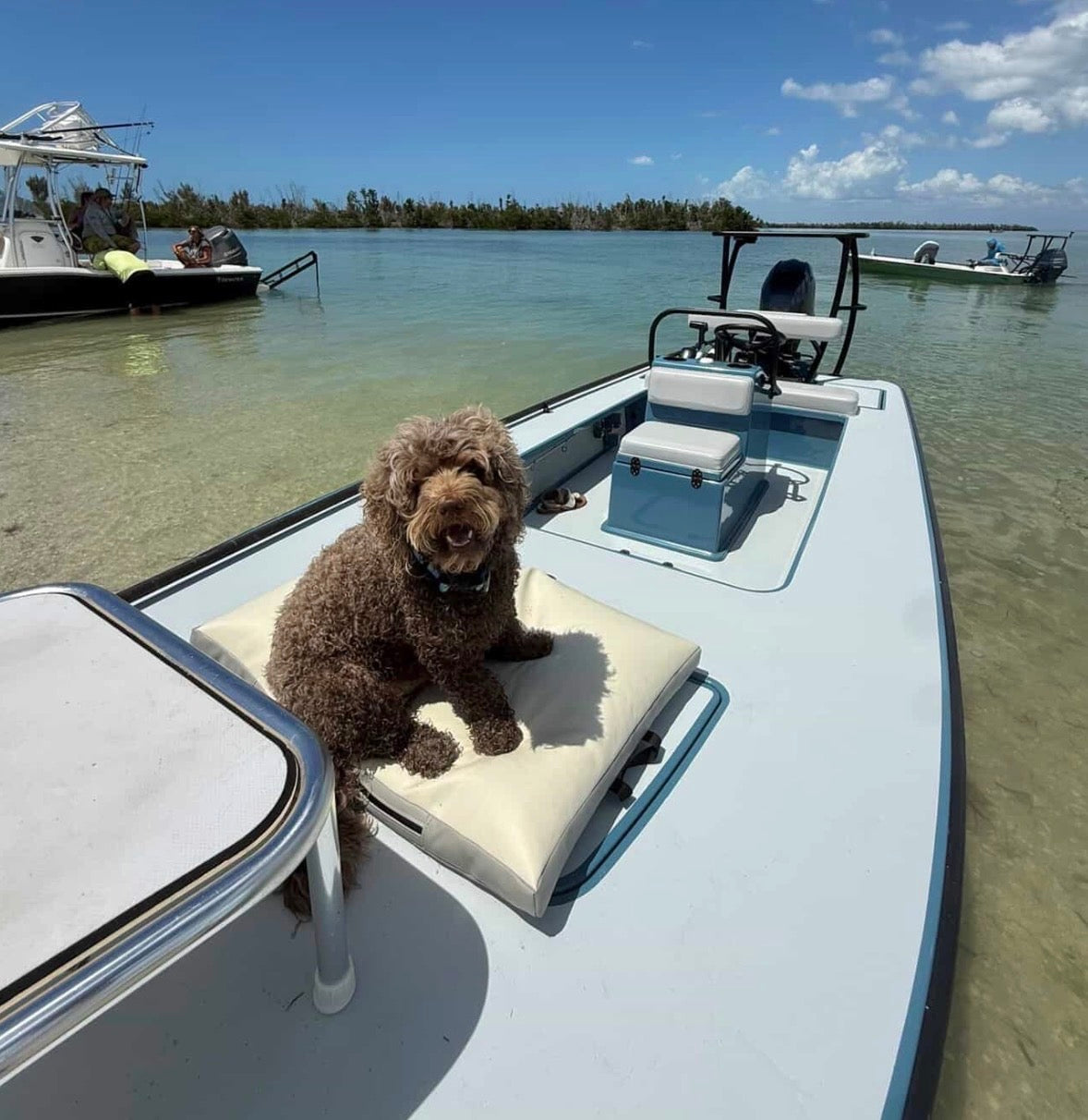 Marine Skiff Dog Bed - Camel