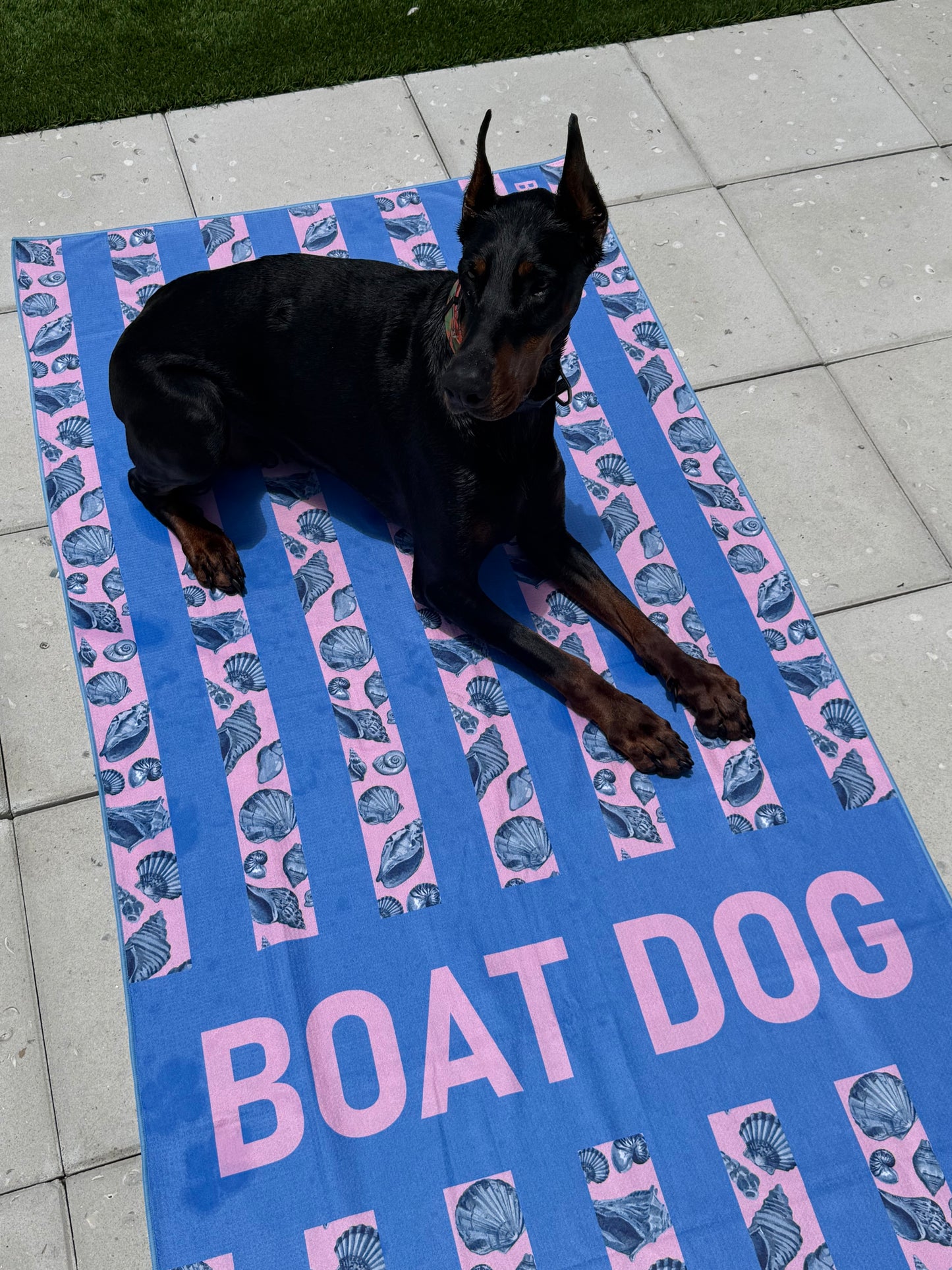 Shoreline Shells Dog Towel